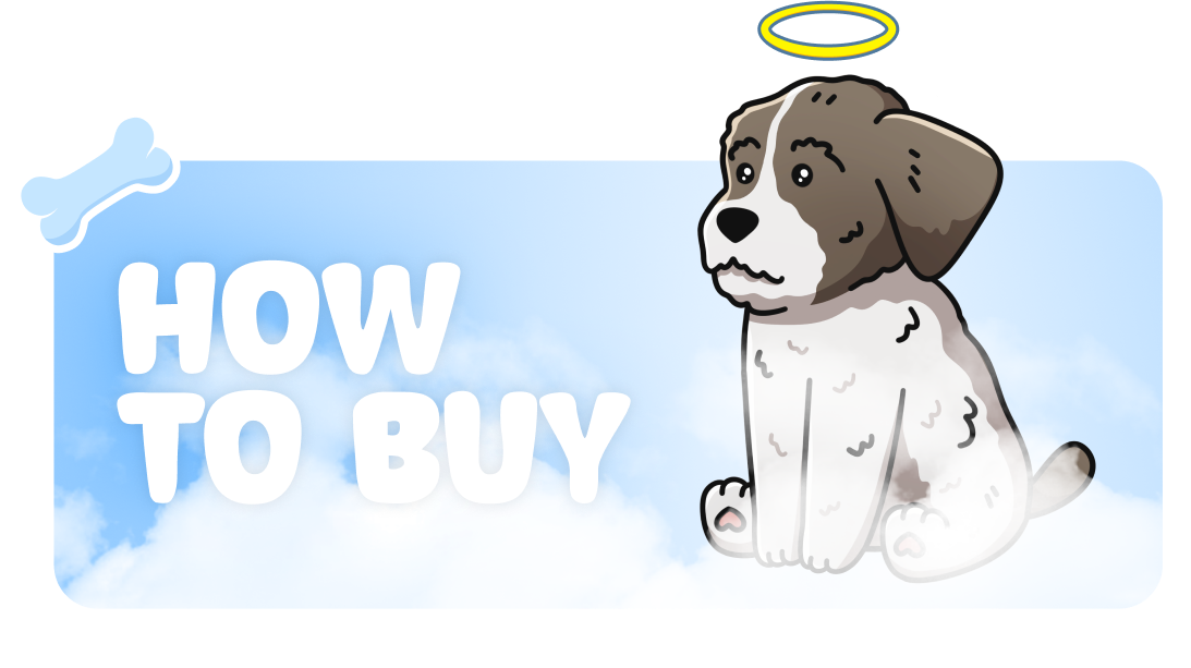 How To Buy